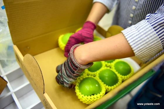 台灣最精密嚴謹的禮盒製造程序,送蜜棗到日本唯一選擇,台灣水果寄日本權威